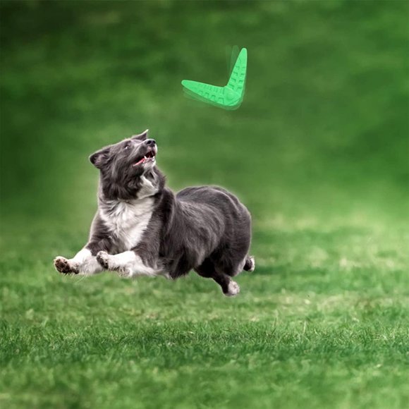 Discs Shape Pet Flying Fetch Dog Chew Toys for Interactive Play - Picture 9 of 11